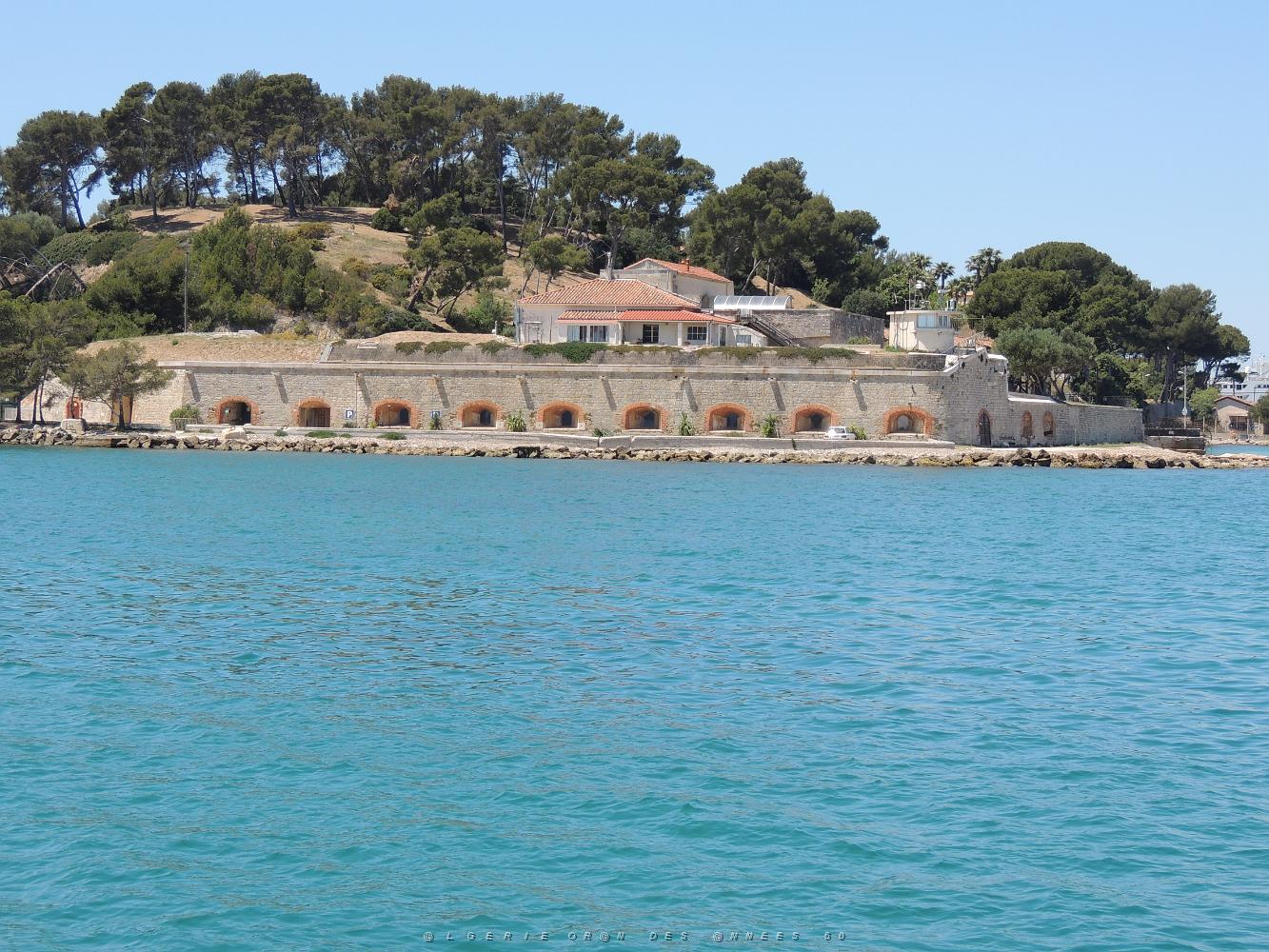 2019 06 01 LA SEYNE SUR MER A.G DE LA SEPIA FEDERATION NATIONALE (117).JPG -           